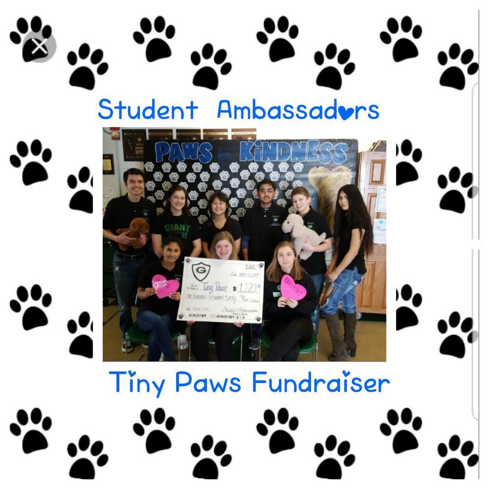 Alden-Hebron Student Ambassadors Raise Donations for Tiny Paws Animal Rescue